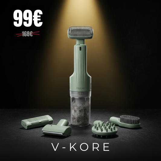 V-Kore™ — Brosse & Aspire les Poils en Silence
