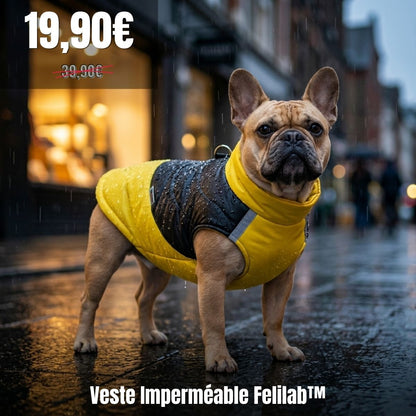 Veste Imperméable Felilab™ — Chaud, Sec et Harnais Intégré