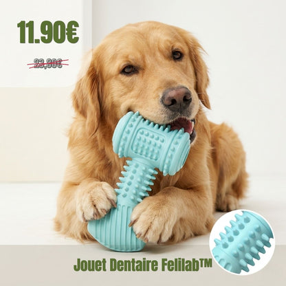 Jouet Dentaire Felilab™ — Mâche. Joue. Dents Propres.