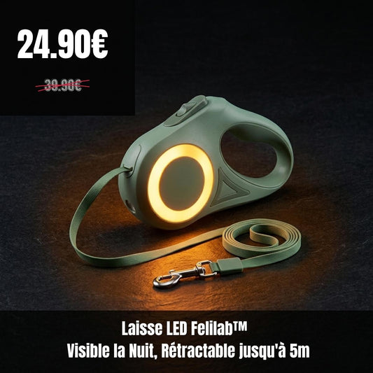 Laisse LED Felilab™ — Visible la Nuit, Rétractable jusqu'à 5m